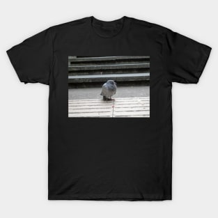 Greeting from Pigeon T-Shirt